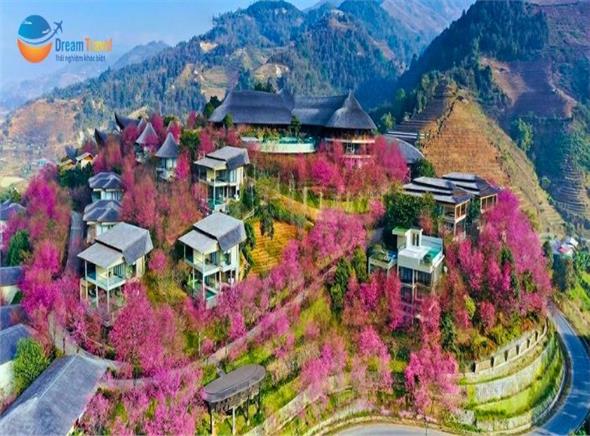 Tour Du Lịch Mù Cang Chải Mùa Mai Anh Đào 3N2Đ